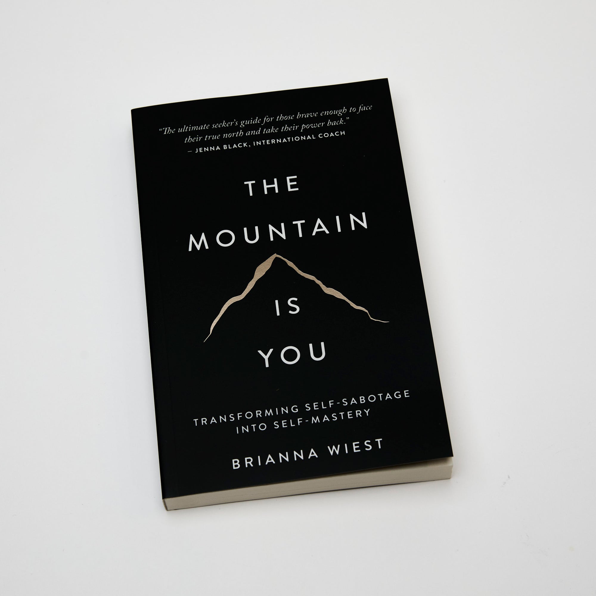 The Mountain Is You by Brianna Wiest  Australia